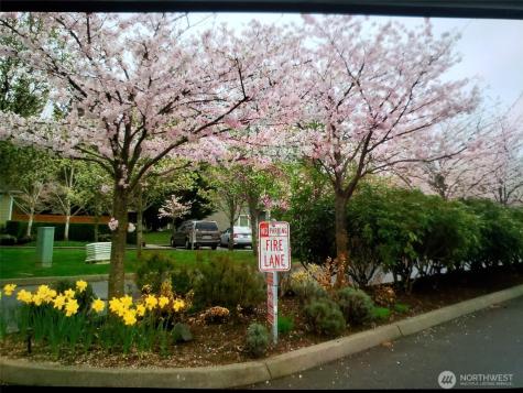538 241st Lane SE Sammamish WA 98074