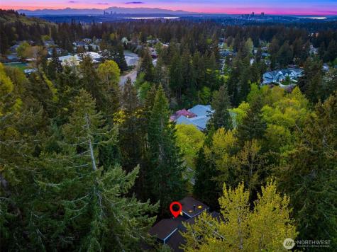 4241 155th Place SE Bellevue WA 98006