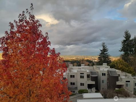 7347 Old Redmond Road Redmond WA 98052
