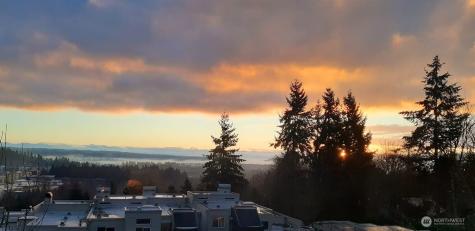 7347 Old Redmond Road Redmond WA 98052