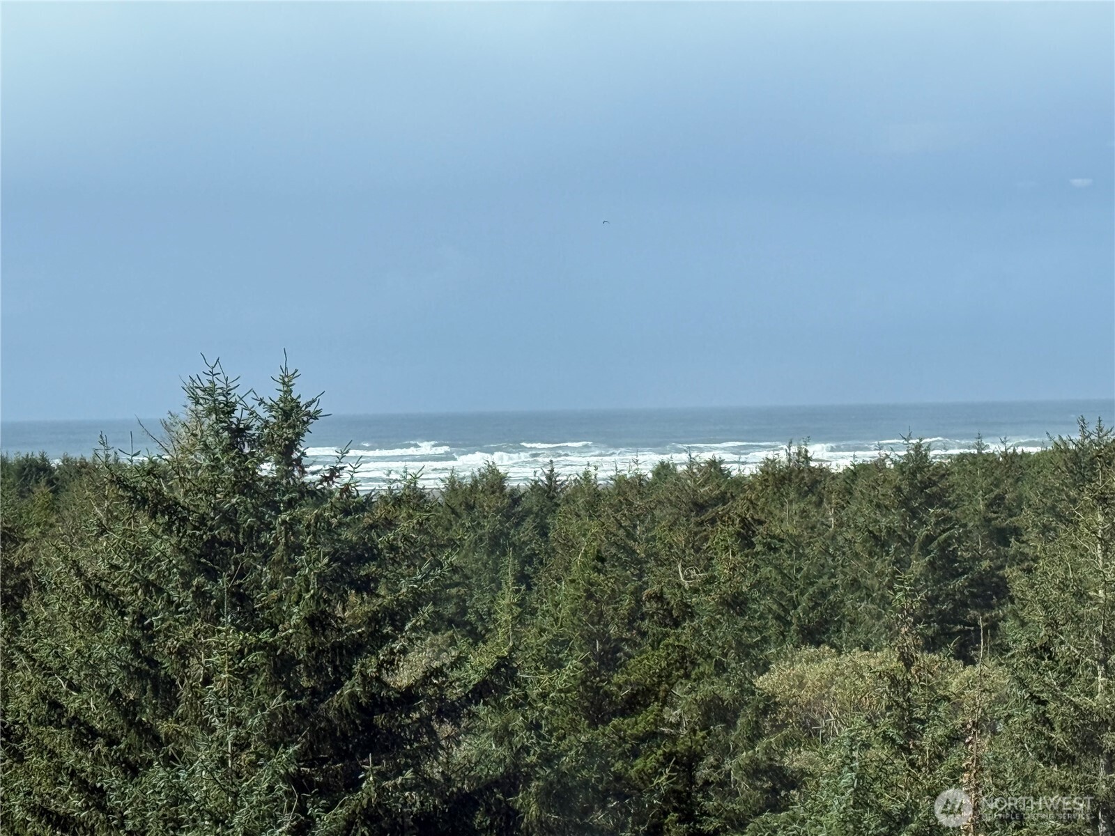 2815 Willows Road Seaview WA 98644