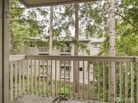 14527 NE 40th Street Bellevue WA 98007