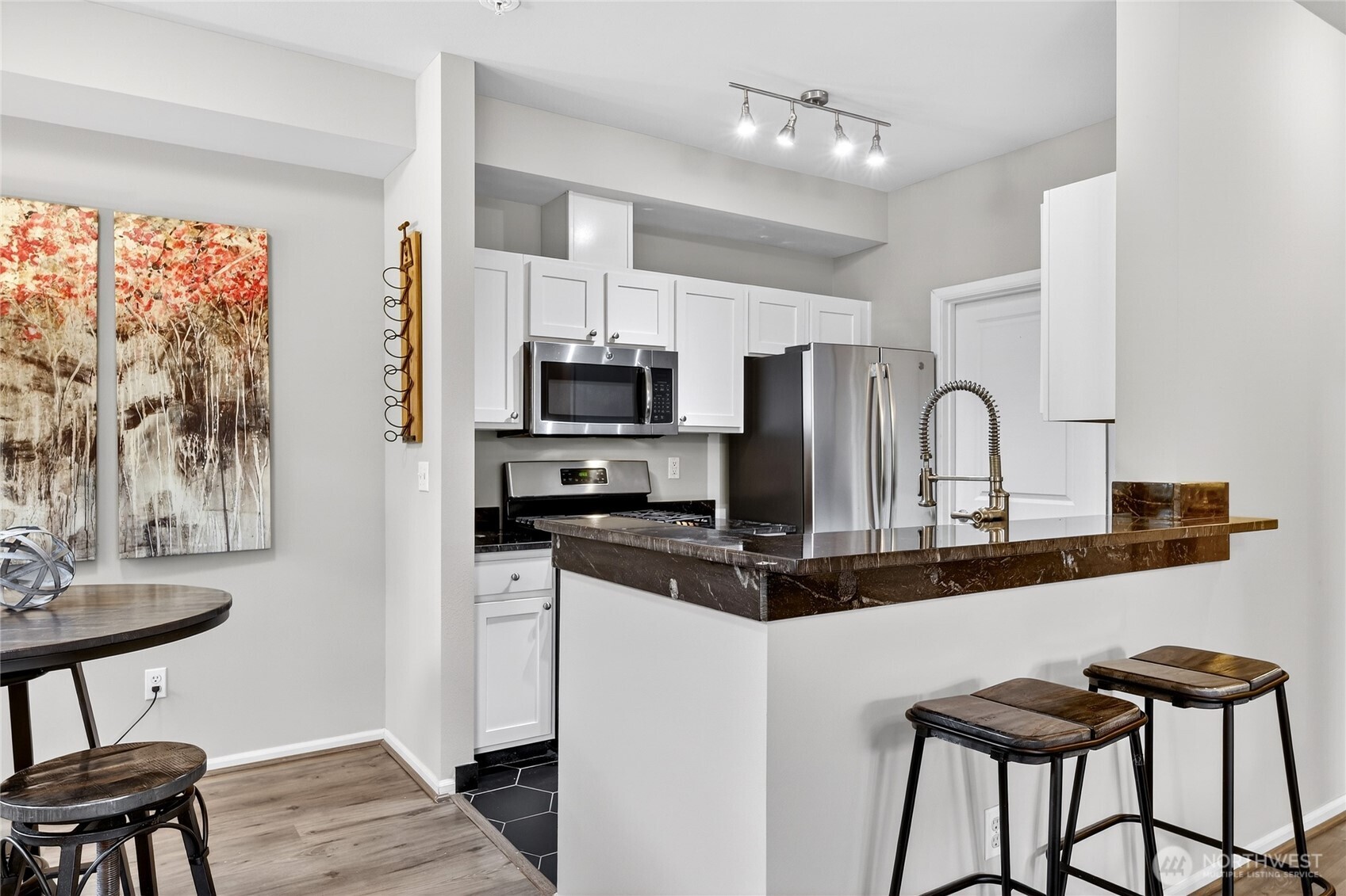 503 225th Lane NE Sammamish WA 98074