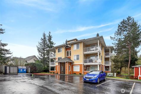 503 225th Lane NE Sammamish WA 98074