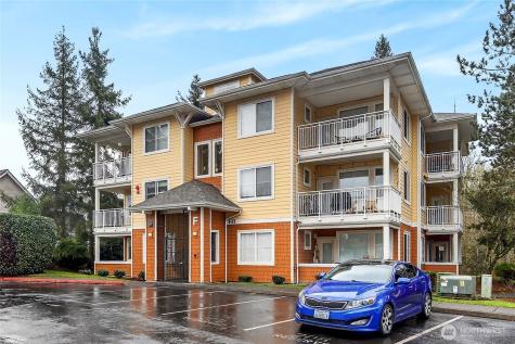 503 225th Lane NE Sammamish WA 98074