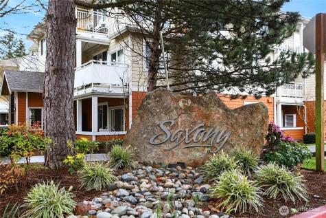 503 225th Lane NE Sammamish WA 98074