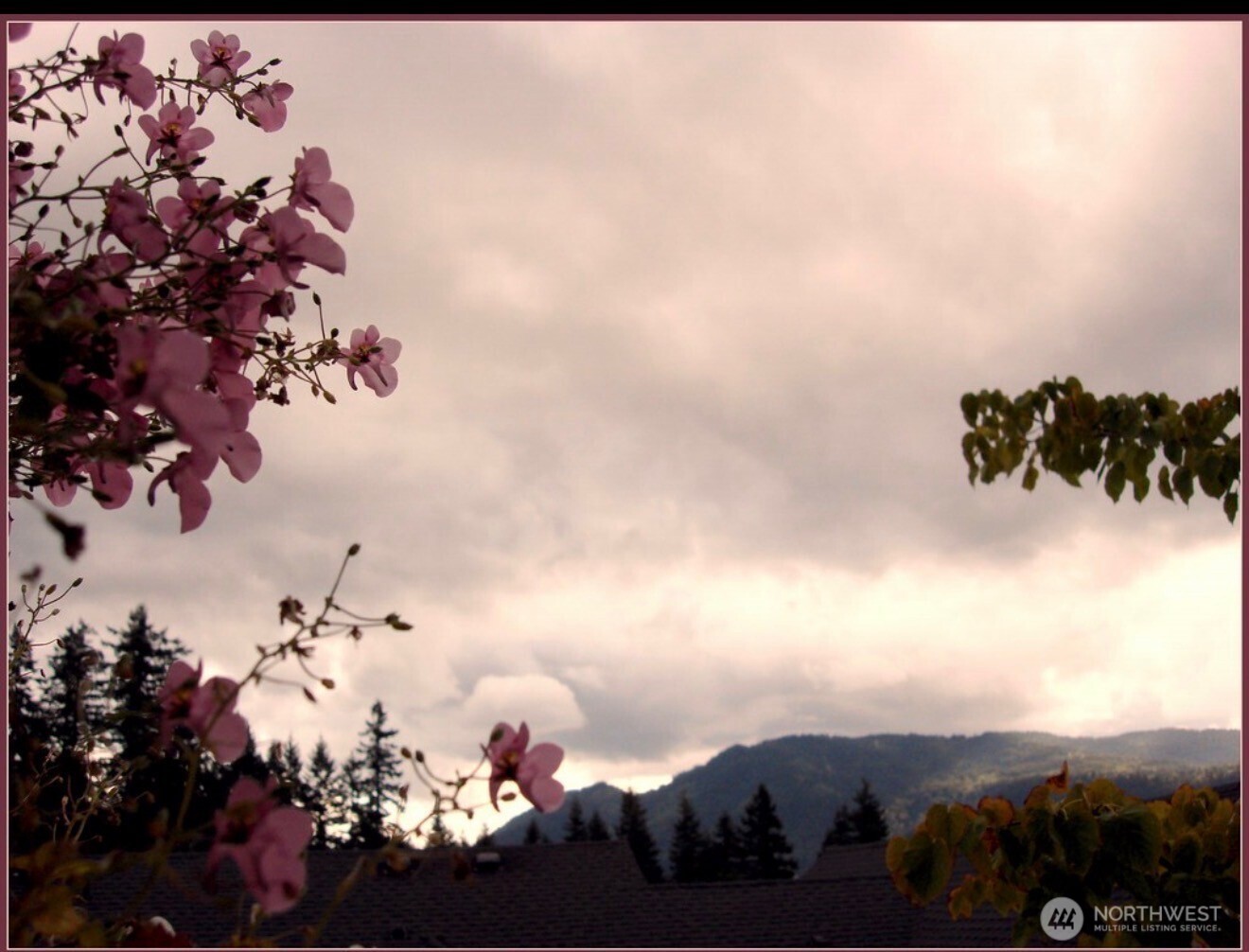 280 NW Newport Way Issaquah WA 98027