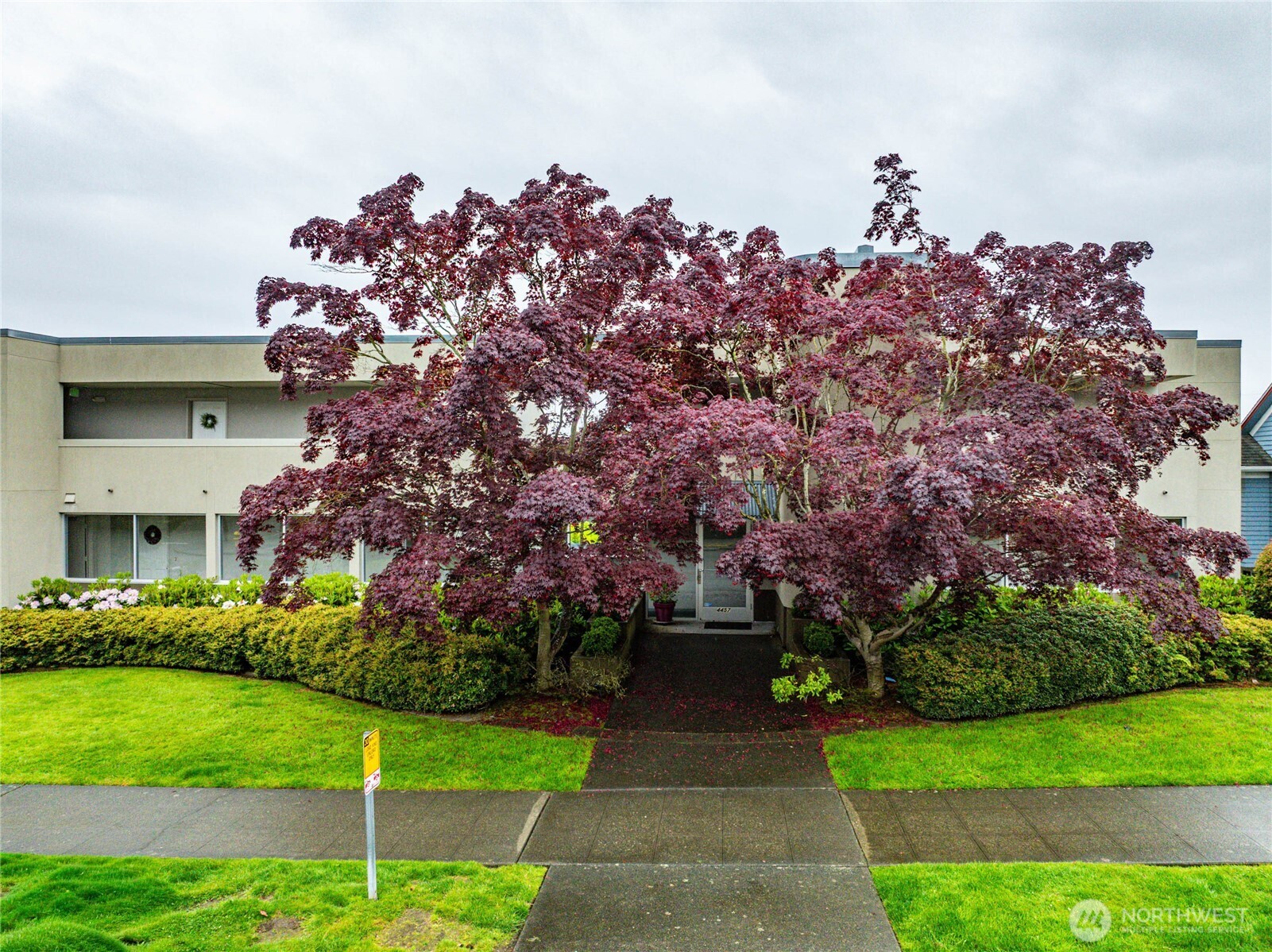 4457 44th Avenue SW Seattle WA 98116