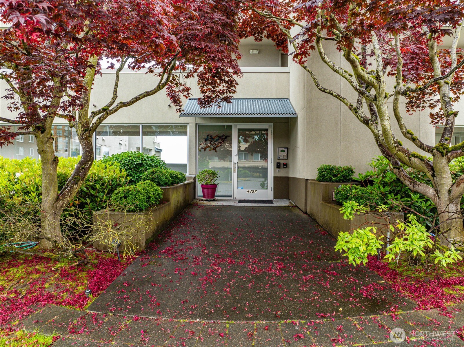 4457 44th Avenue SW Seattle WA 98116