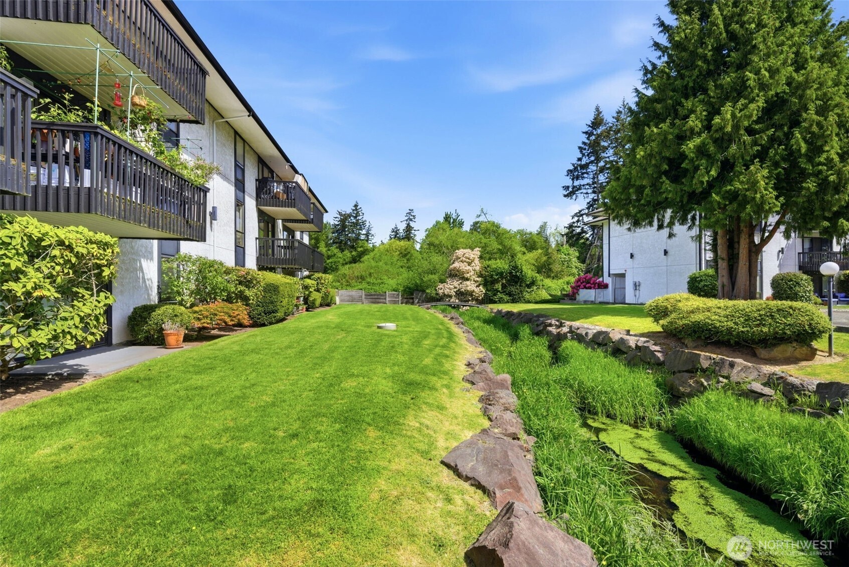 19411 56th Avenue W Lynnwood WA 98036