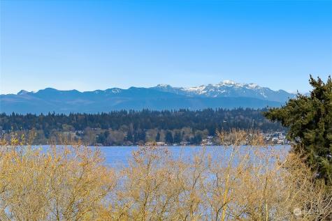 8001 Sand Point Seattle WA 98115