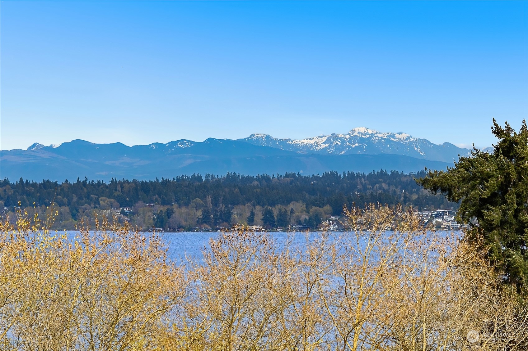 8001 Sand Point Way Ne Seattle WA 98115