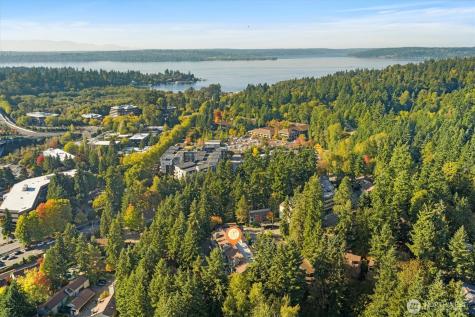 3518 109th Place NE Bellevue WA 98004