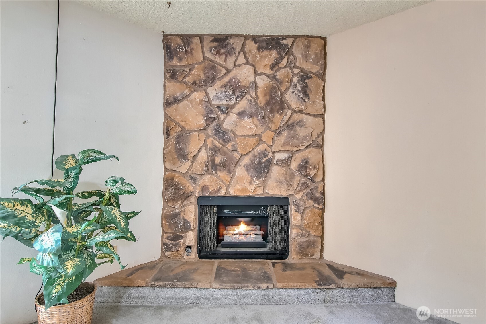 1040 S 320th Street Federal Way WA 98003