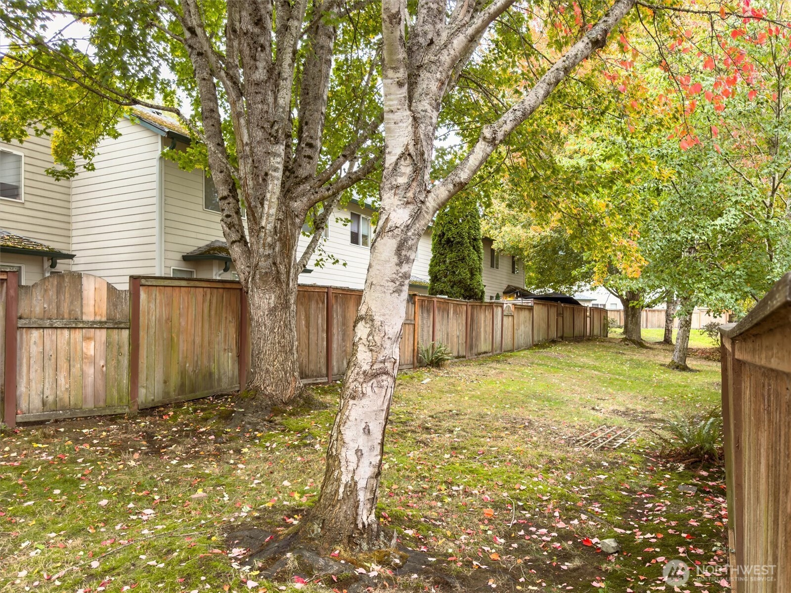 1131 115th Street SW Everett WA 98204