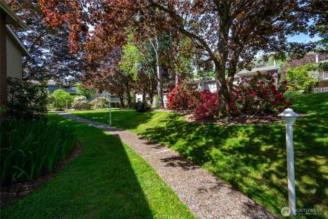 6343 Sand Point Way NE Seattle WA 98115