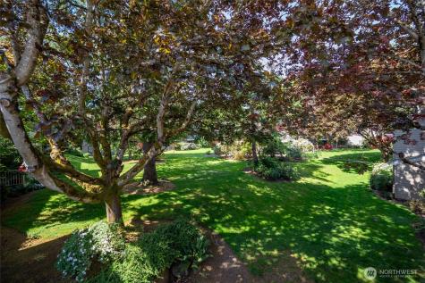 6343 Sand Point Way NE Seattle WA 98115