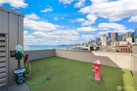 590 1st Avenue S Seattle WA 98104