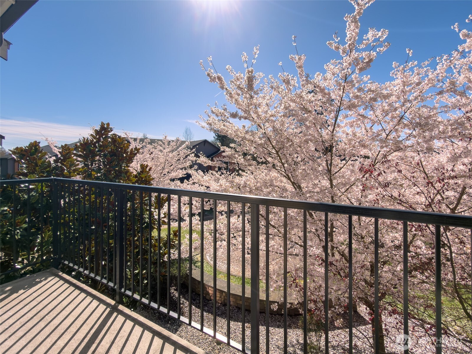 10357 156th Lane NE Redmond WA 98052