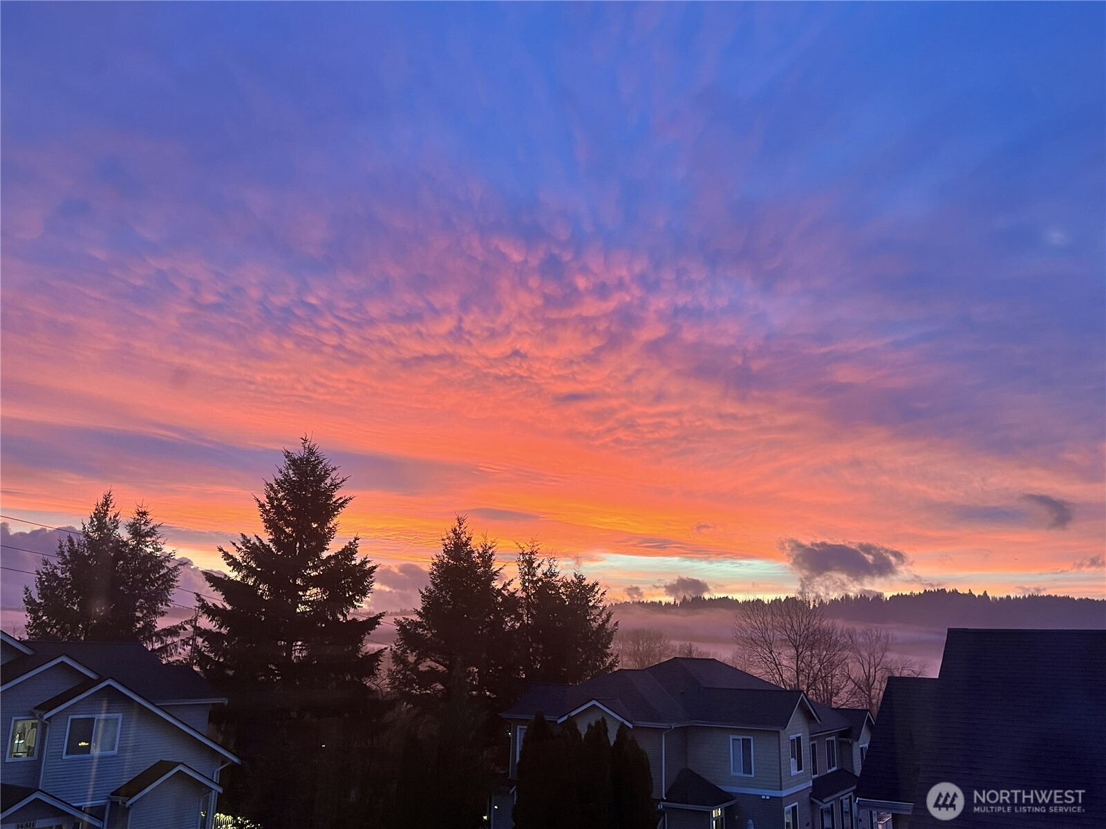 14506 1st Lane NE Duvall WA 98019