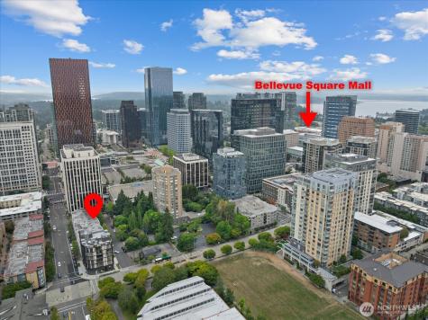 925 110th Avenue NE Bellevue WA 98004