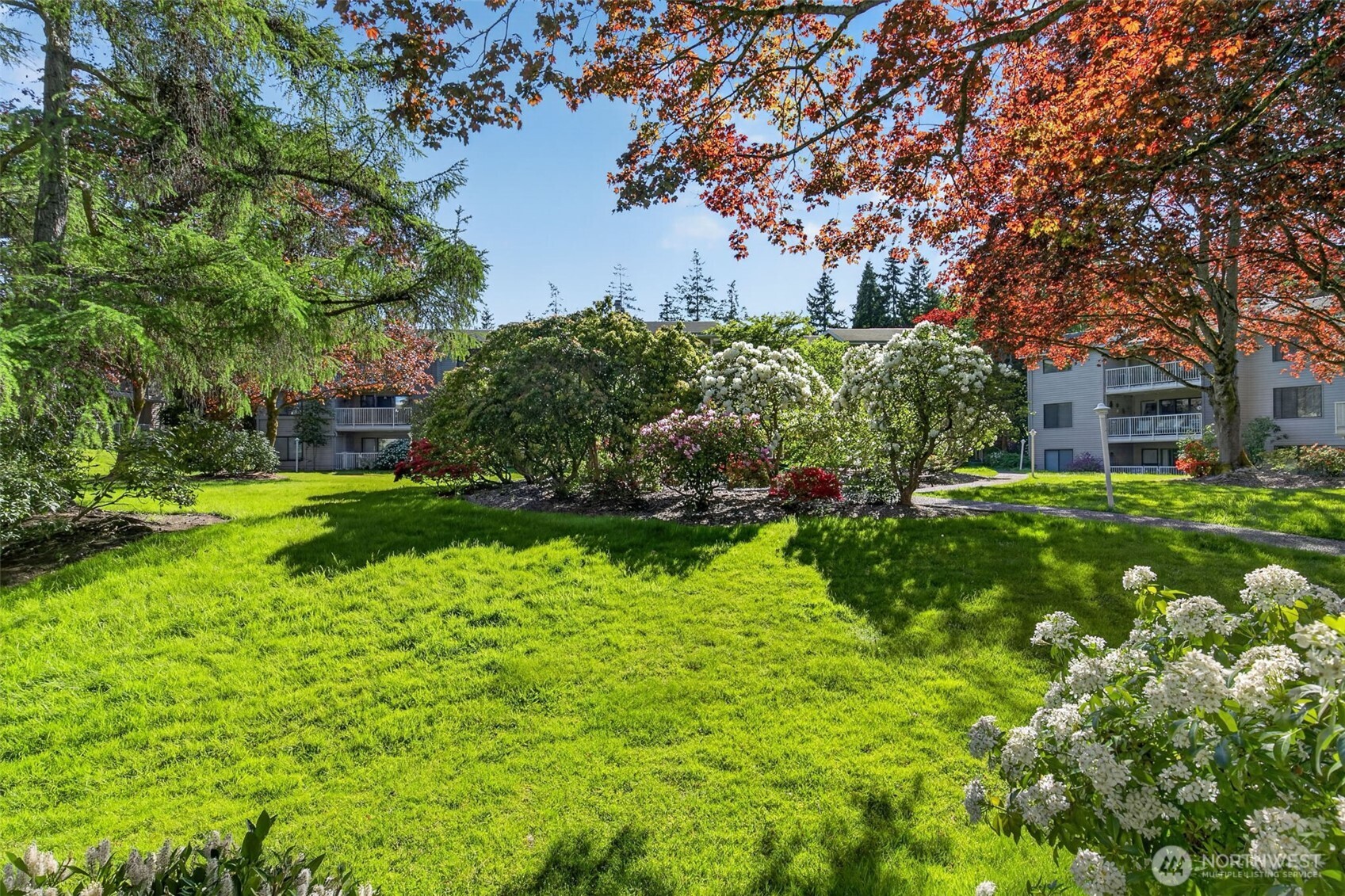 6353 Sand Point Way NE Seattle WA 98115