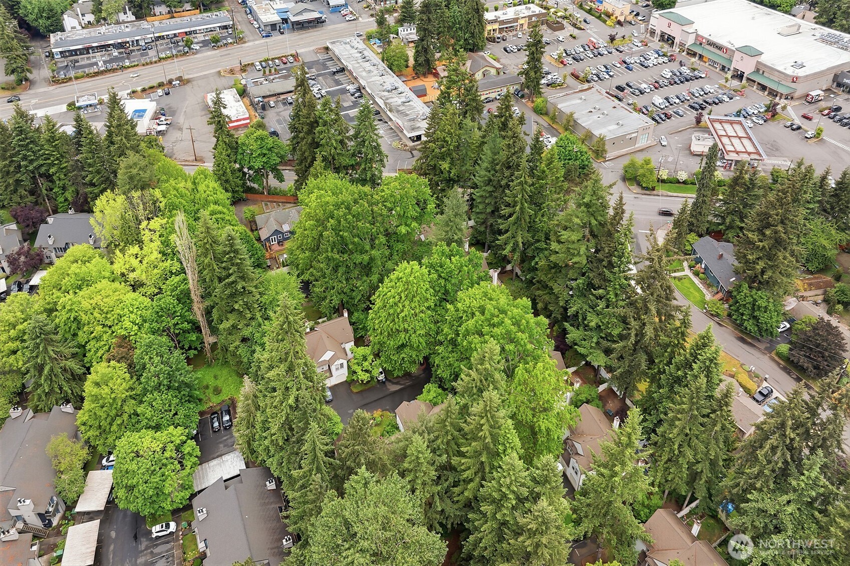 10123 NE 135th Lane Kirkland WA 98034