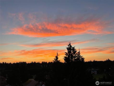 23007 Lakeview Drive Mountlake Terrace WA 98043