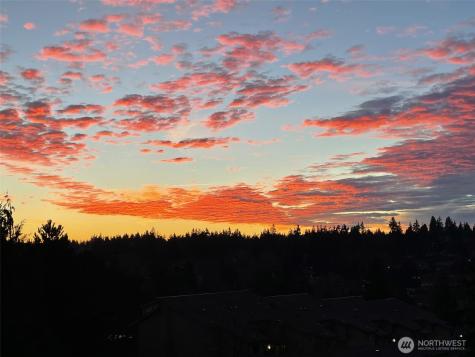 23007 Lakeview Drive Mountlake Terrace WA 98043