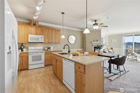 23007 Lakeview Drive Mountlake Terrace WA 98043