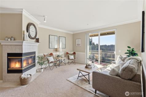23007 Lakeview Drive Mountlake Terrace WA 98043