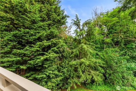 3423 W Government Way Seattle WA 98199