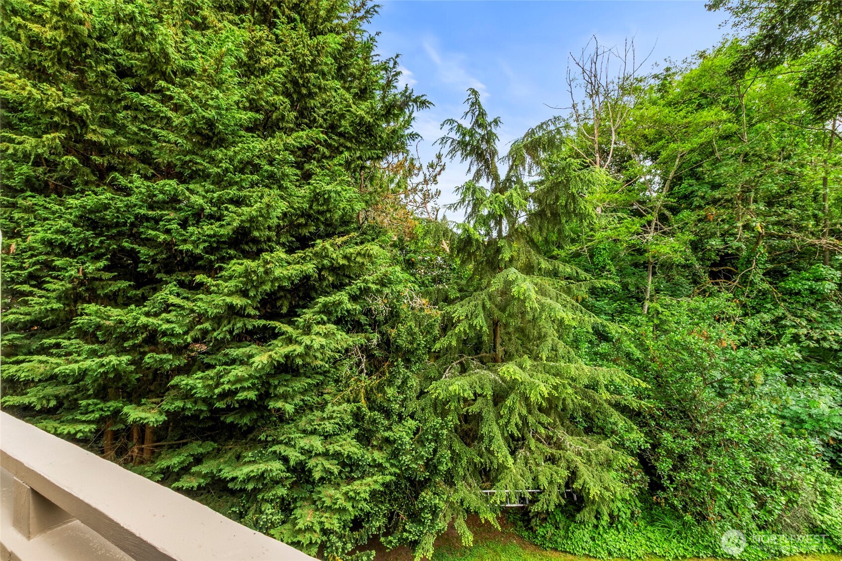 3423 W Government Way Seattle WA 98199