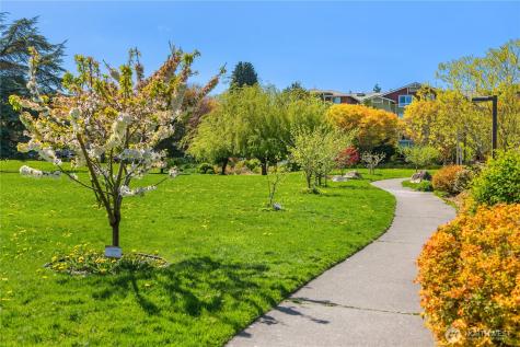 3280 SW Graham Street Seattle WA 98126