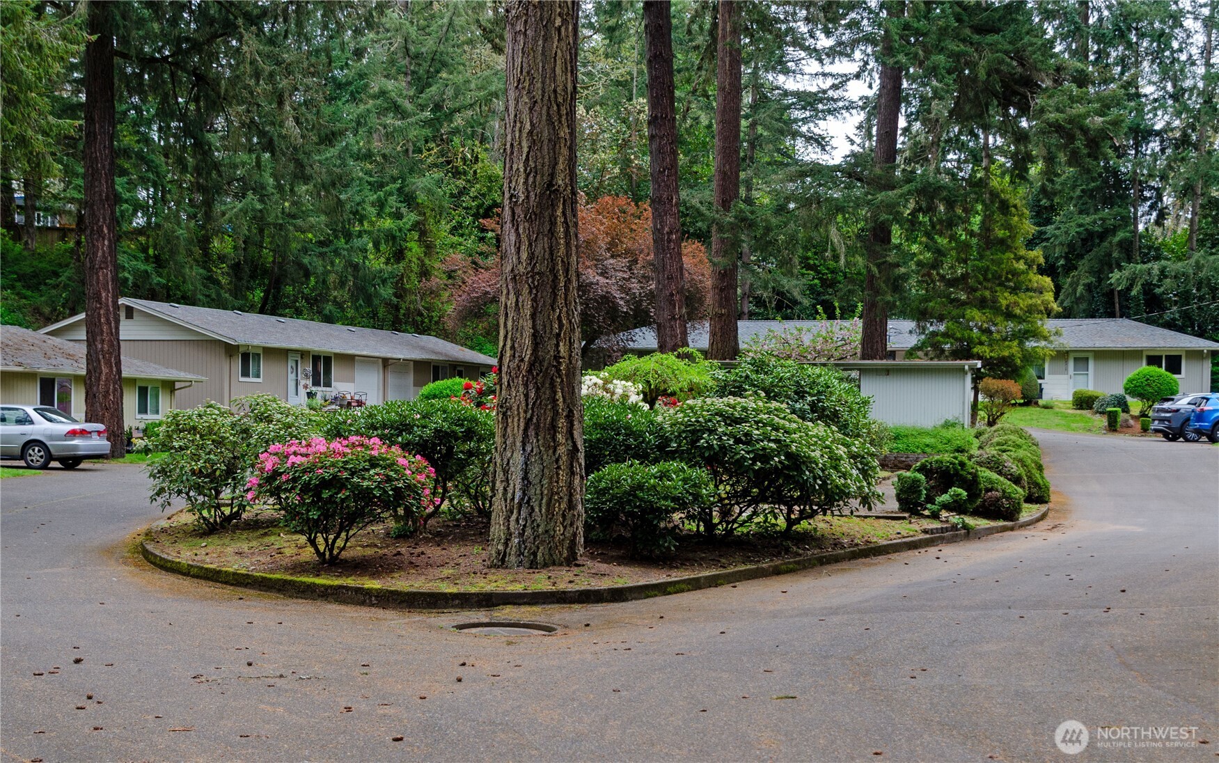 8221 SW Paine Lakewood WA 98499