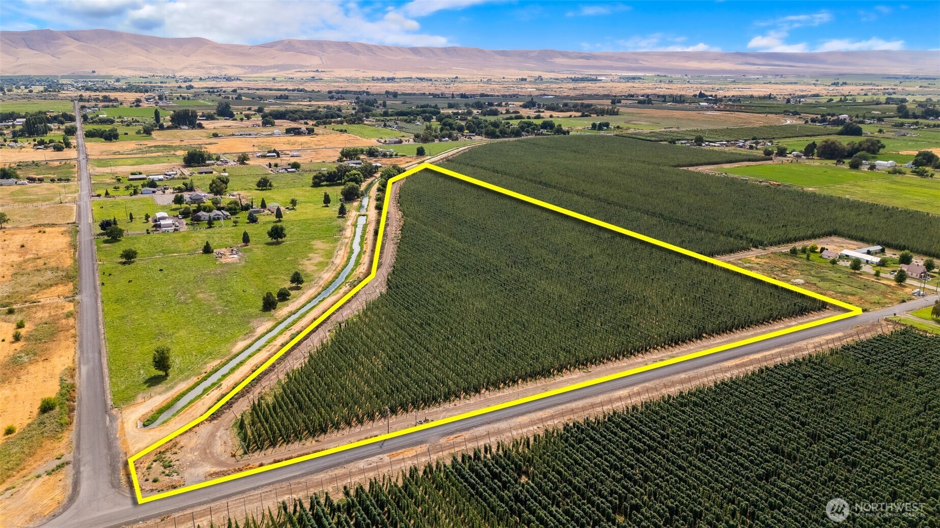 1 Apricot Grandview WA 98930