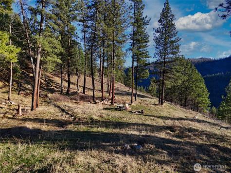 1721 Aeneas Valley Road Tonasket WA 98855