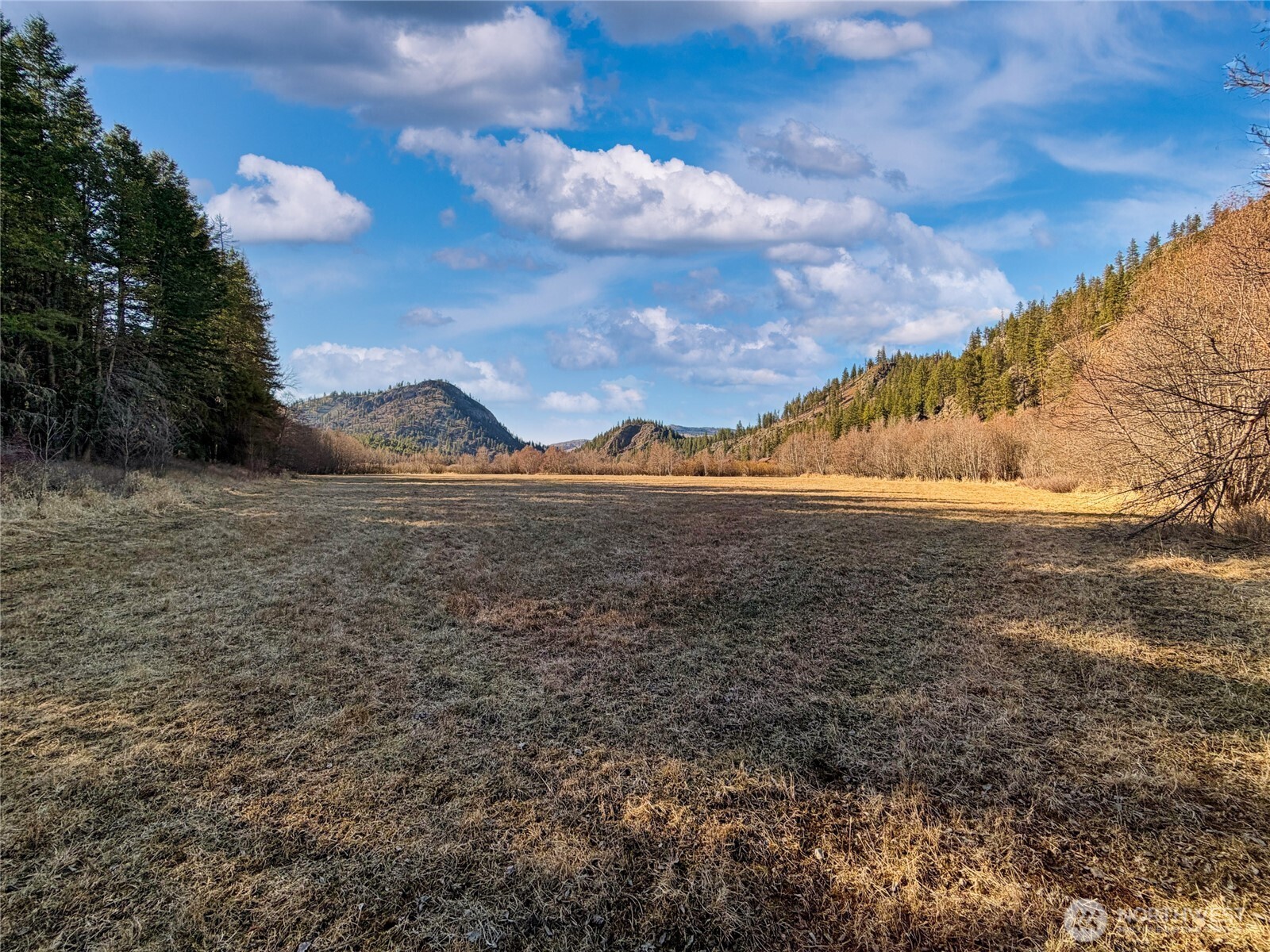 1721 Aeneas Valley Road Tonasket WA 98855