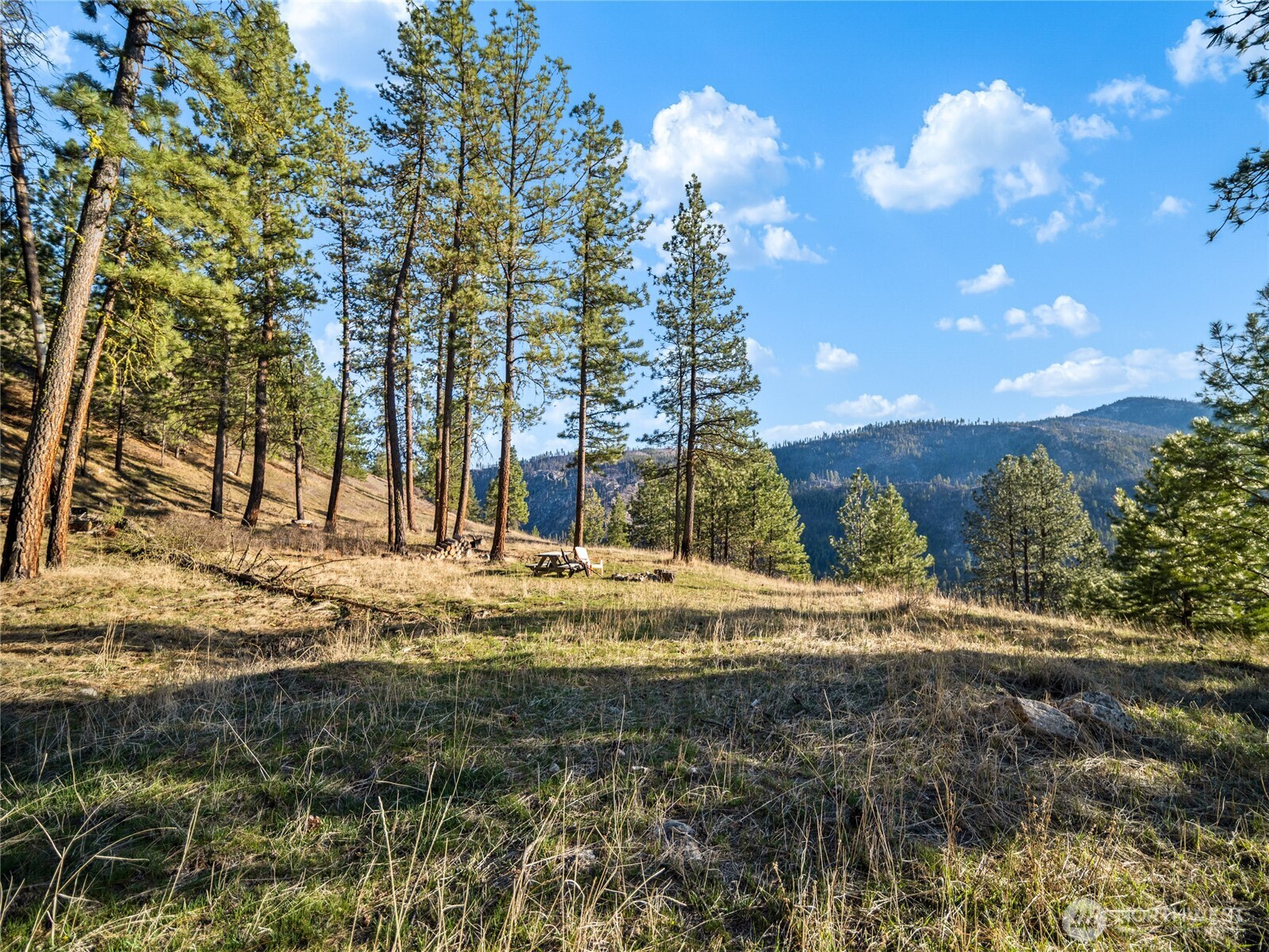 1721 Aeneas Valley Road Tonasket WA 98855