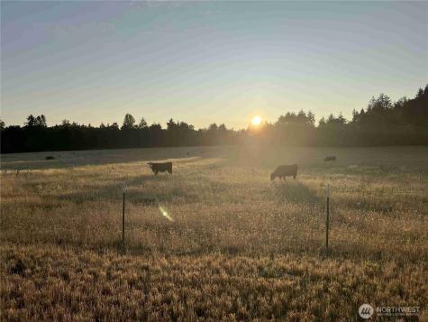 13911 Military Road SE Tenino WA 98589