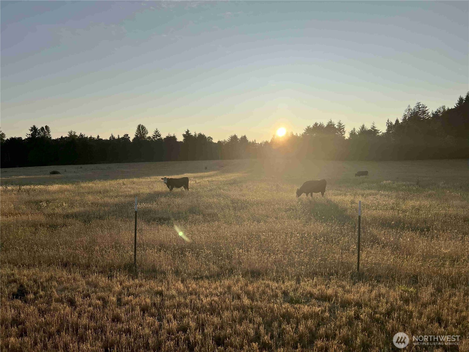 13911 Military Road SE Tenino WA 98589