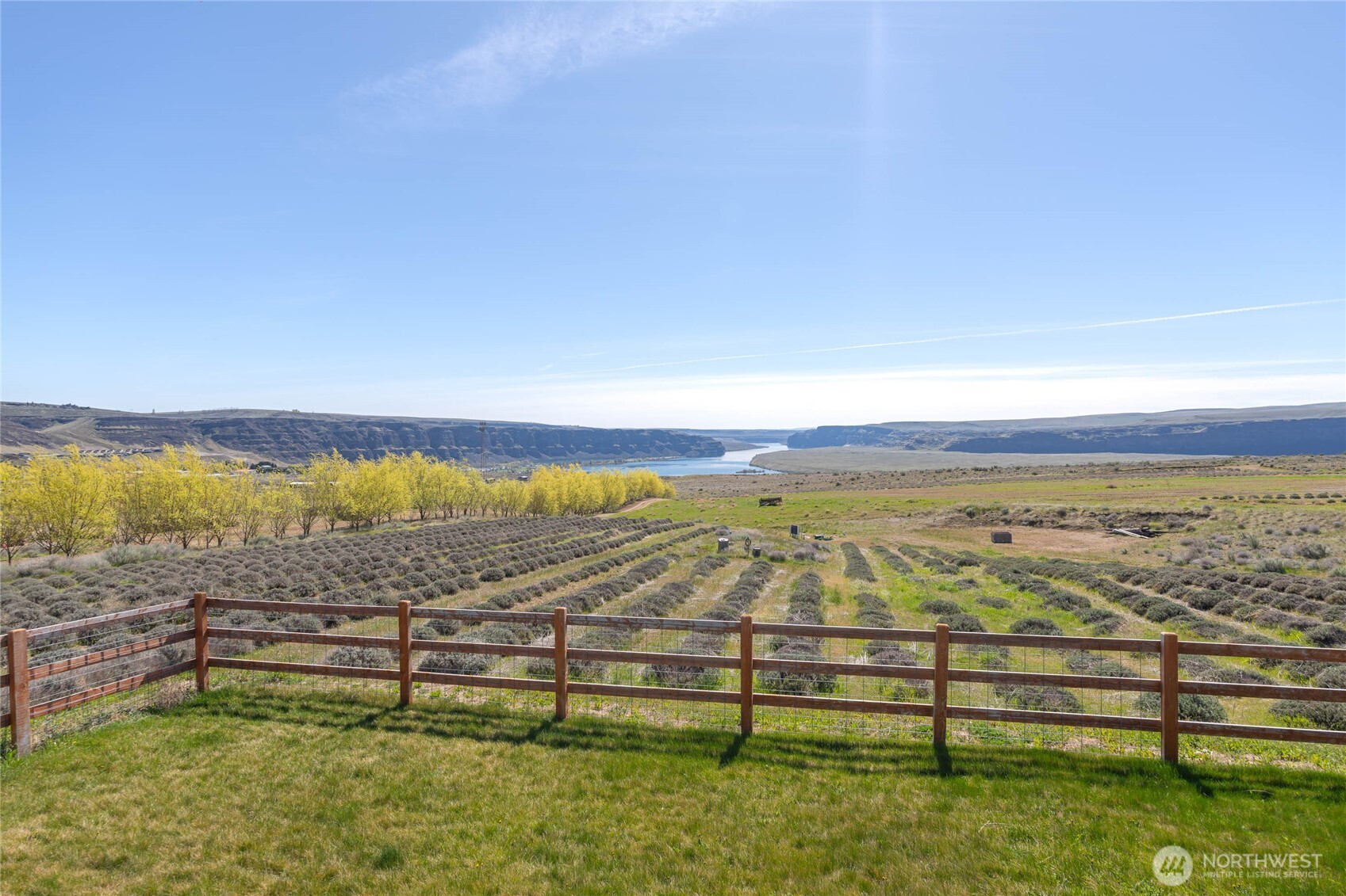 117 Freese Road Quincy WA 98848