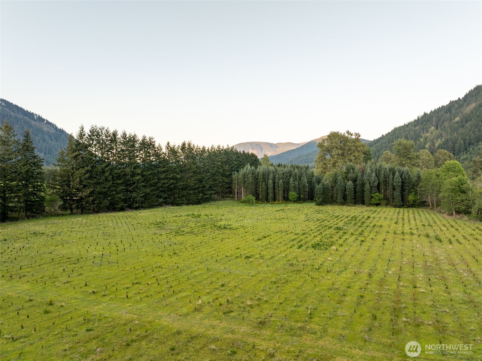 12087 Us Highway 12 Packwood WA 98361