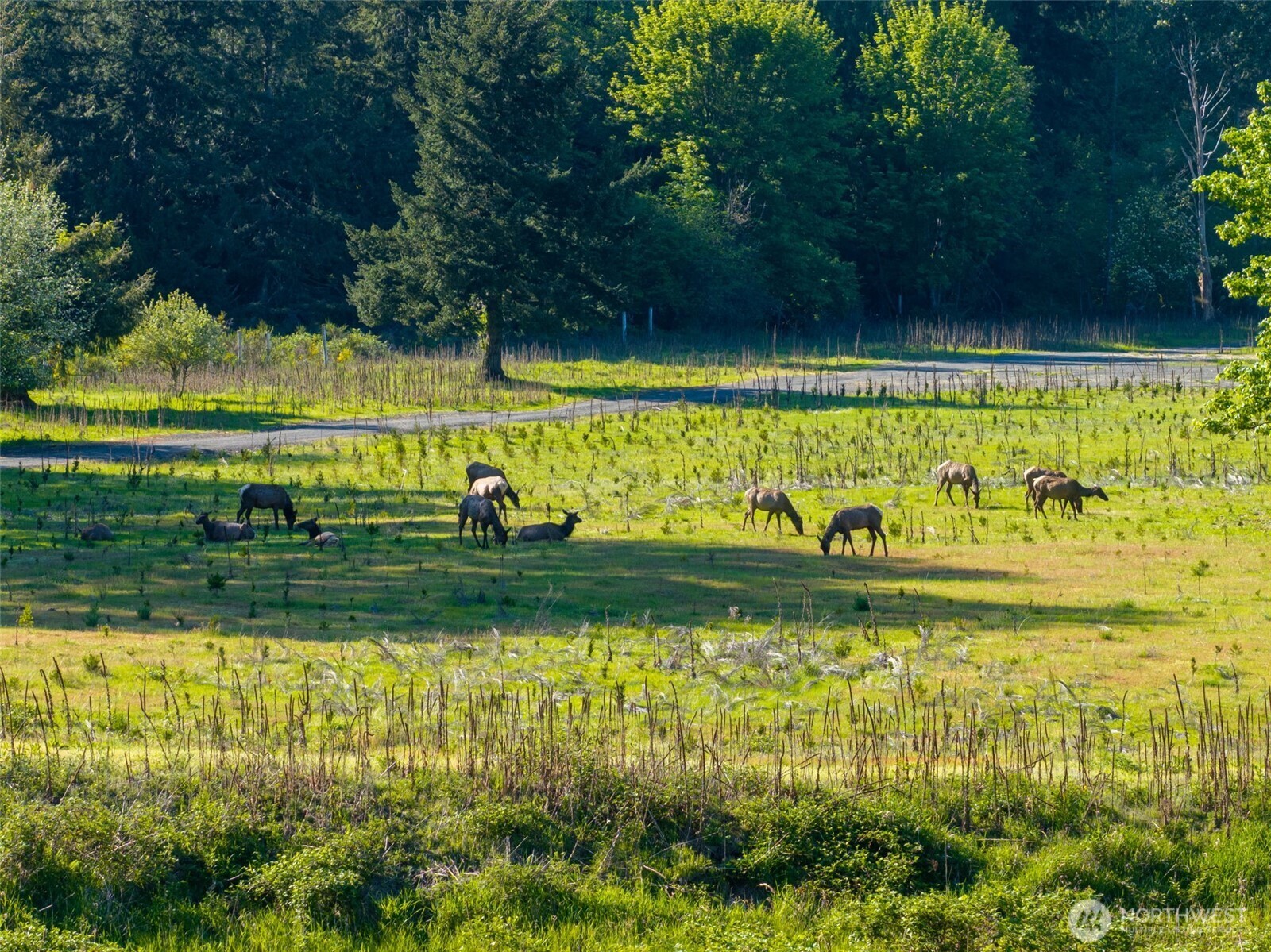 12087 Us Highway 12 Packwood WA 98361