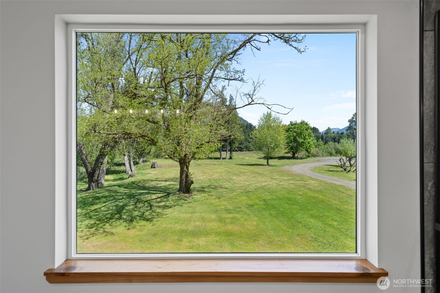12087 Us Highway 12 Packwood WA 98361