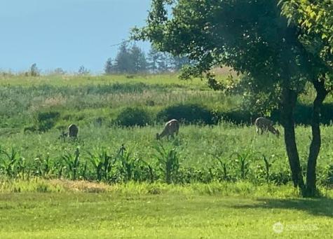 5787 Fruitland Valley Road Fruitland WA 99129