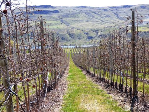 618 Jack Wells Road Bridgeport WA 98813