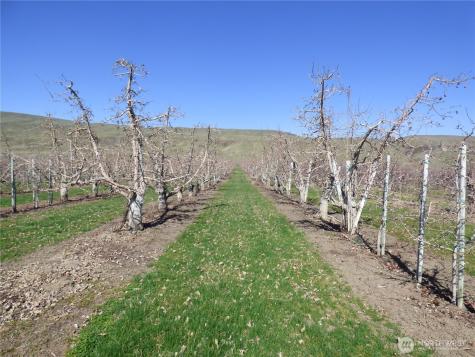 618 Jack Wells Road Bridgeport WA 98813