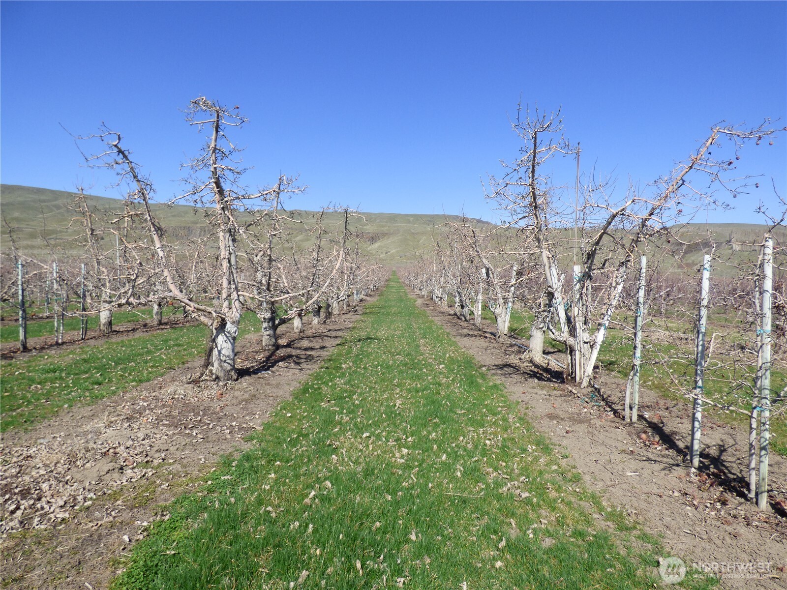 618 Jack Wells Road Bridgeport WA 98813