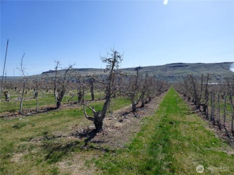 618 Jack Wells Road Bridgeport WA 98813